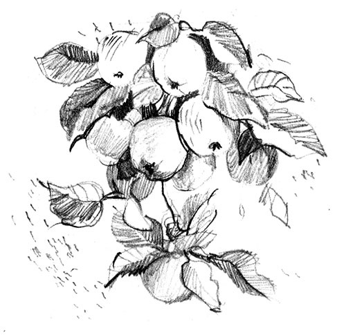 Германия Германия