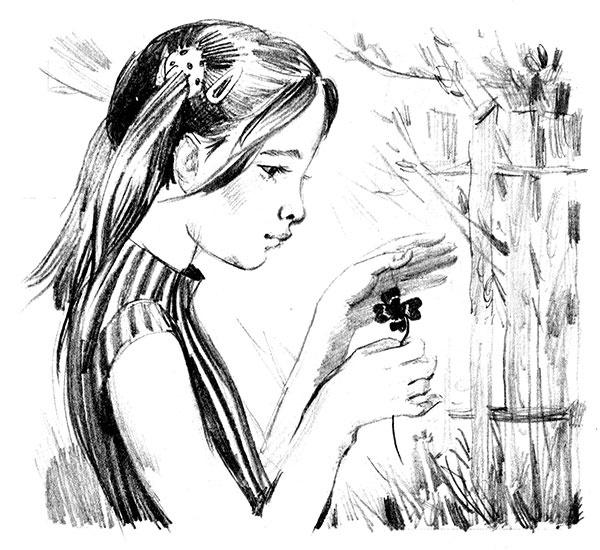 Германия Германия