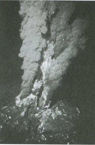 Тайны четырех океанов