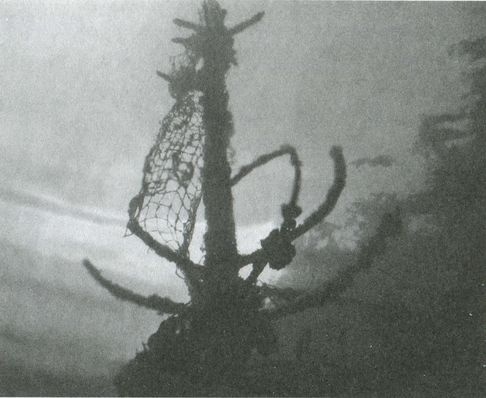 Тайны четырех океанов