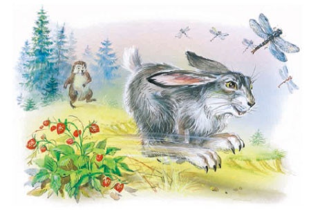 Филипок Филипок