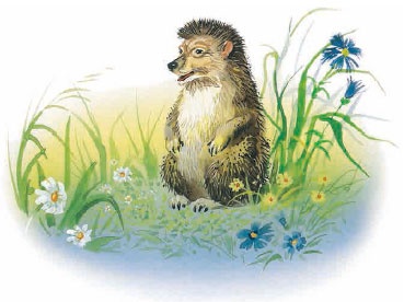 Филипок Филипок