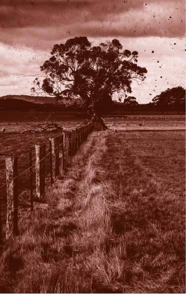 Похитители костей Похитители костей