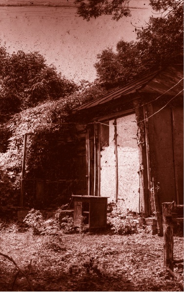 Похитители костей Похитители костей