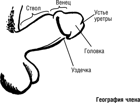 #Секреты Королевы. Настольная книга искусной любовницы