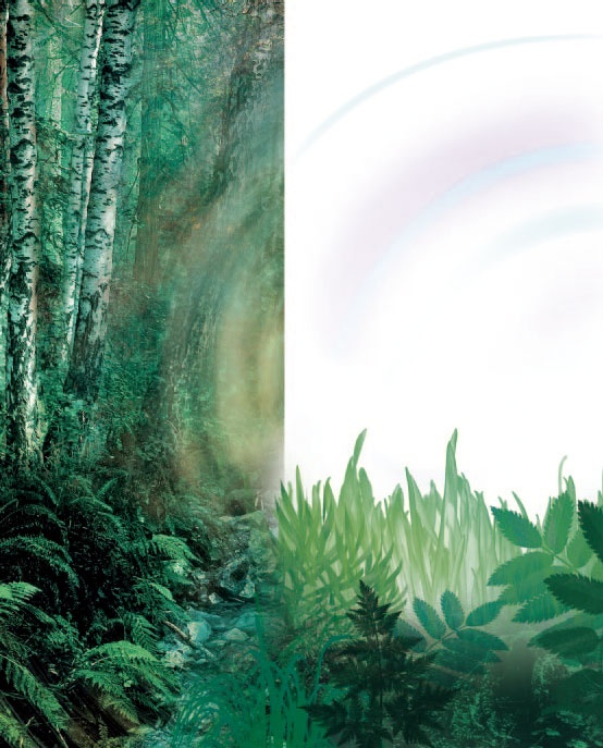 Сказки Дальних стран Сказки Дальних стран