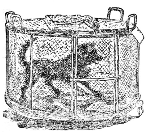 Империя хирургов Империя хирургов