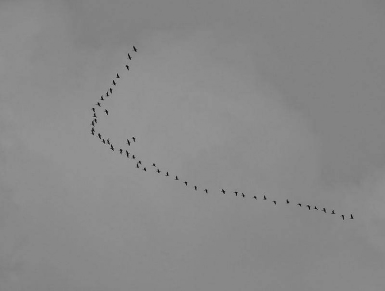 Вокруг света Вокруг света