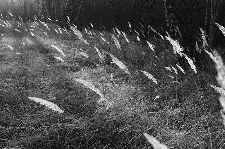 Вокруг света Вокруг света