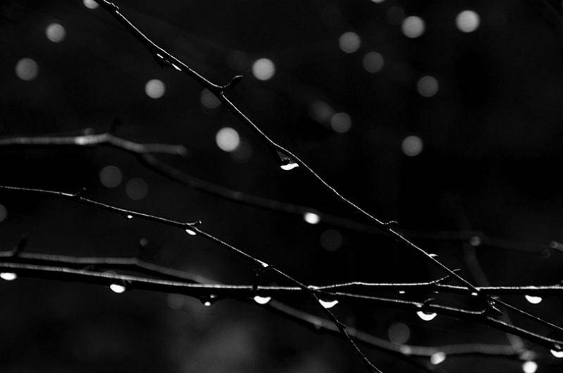 Вокруг света Вокруг света