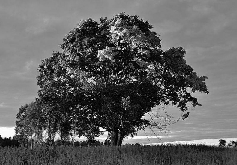 Вокруг света Вокруг света