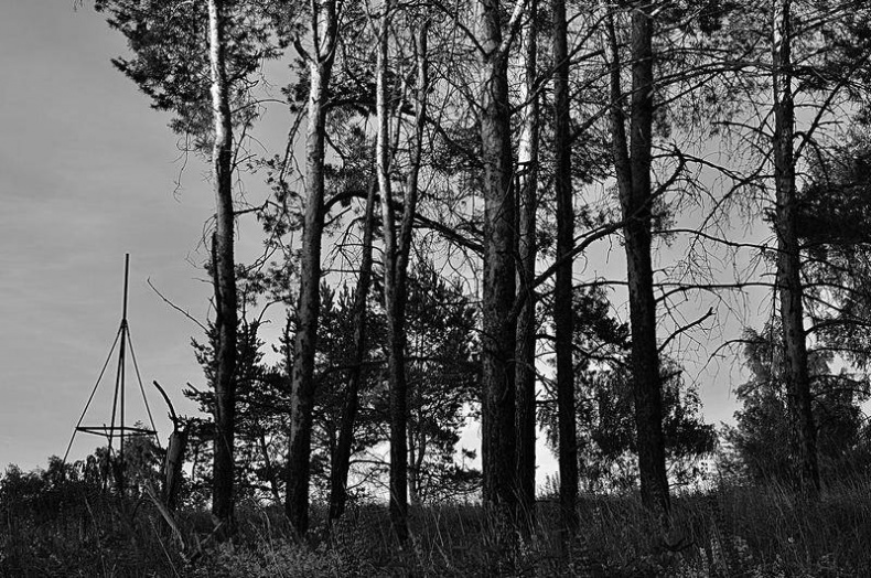 Вокруг света Вокруг света