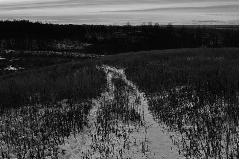 Вокруг света Вокруг света