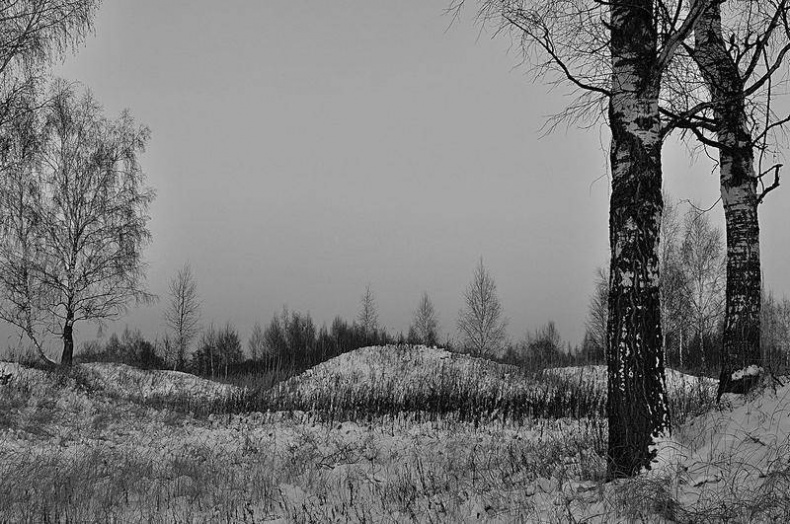 Вокруг света Вокруг света