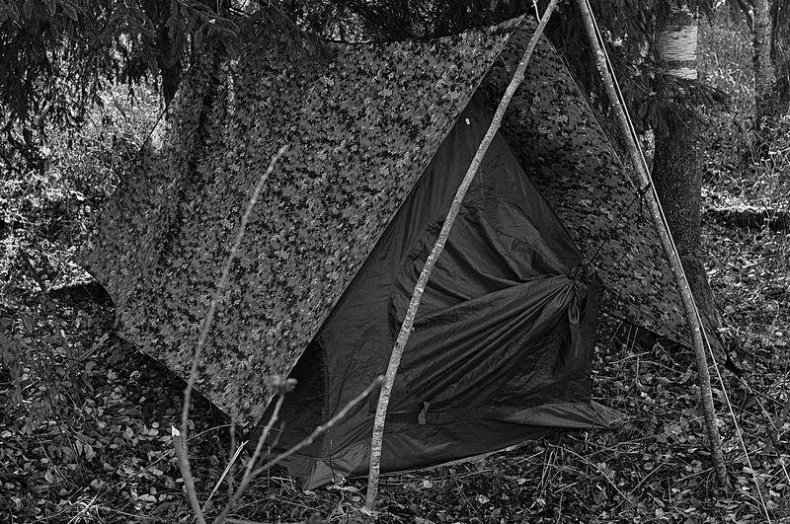 Вокруг света Вокруг света