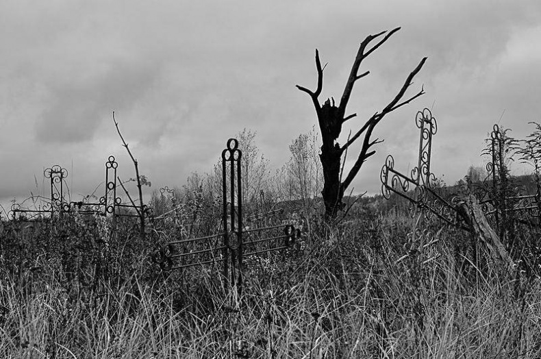 Вокруг света Вокруг света