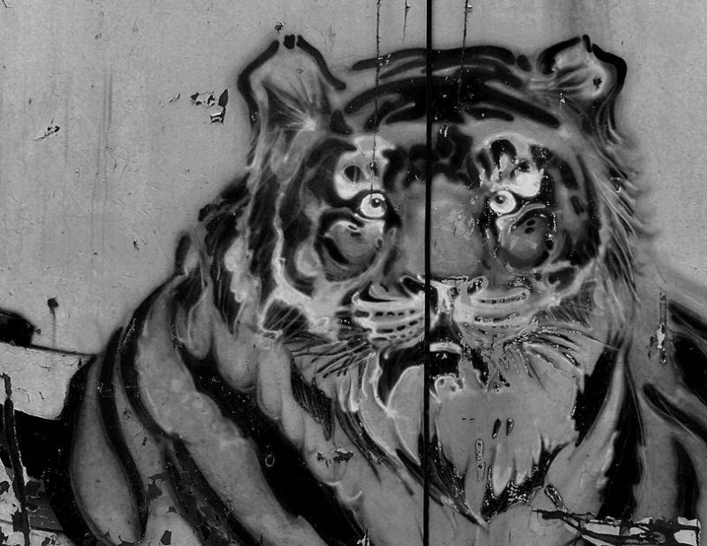 Вокруг света Вокруг света