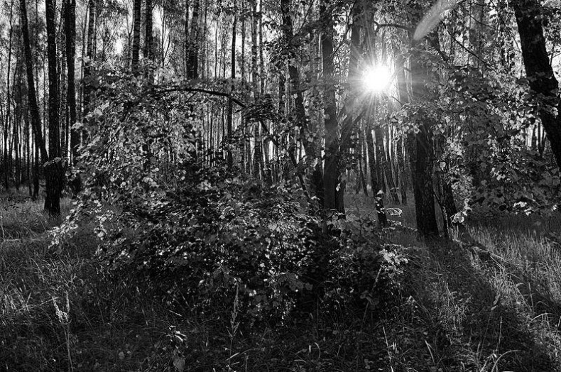 Вокруг света Вокруг света