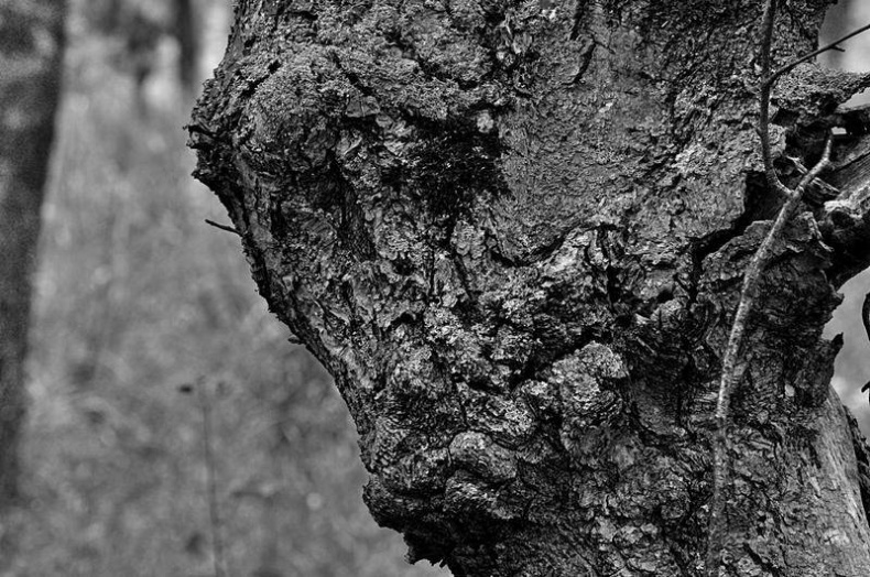 Вокруг света Вокруг света