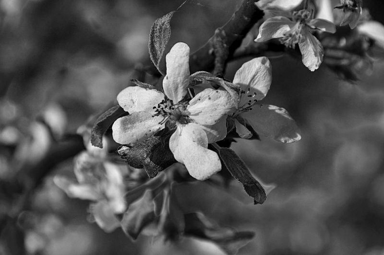 Вокруг света Вокруг света