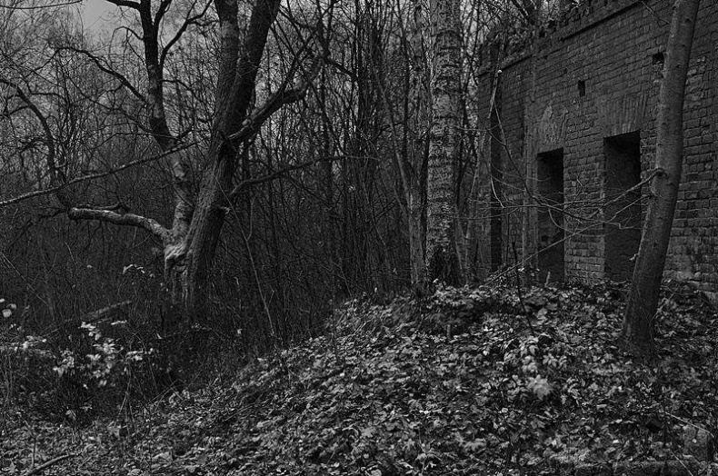 Вокруг света Вокруг света