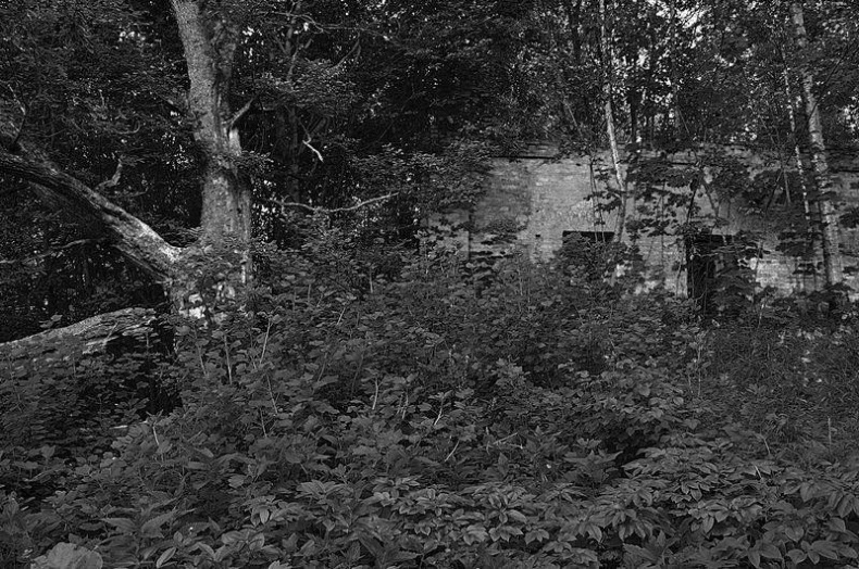 Вокруг света Вокруг света