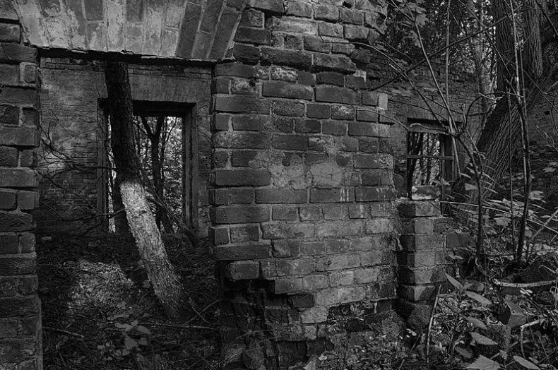 Вокруг света Вокруг света