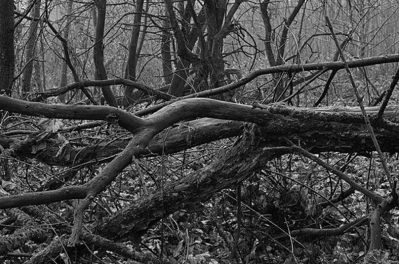 Вокруг света Вокруг света