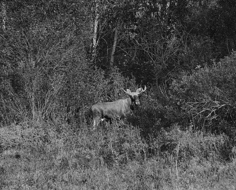 Вокруг света Вокруг света