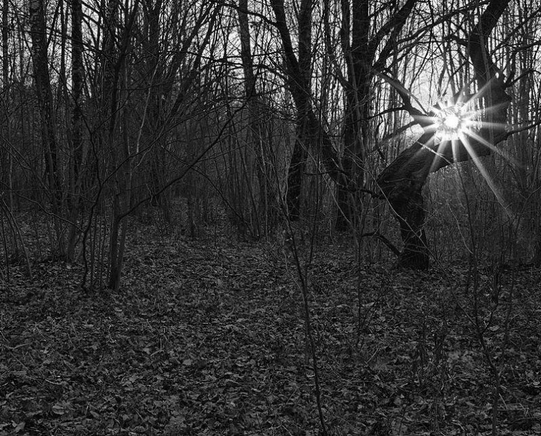 Вокруг света Вокруг света