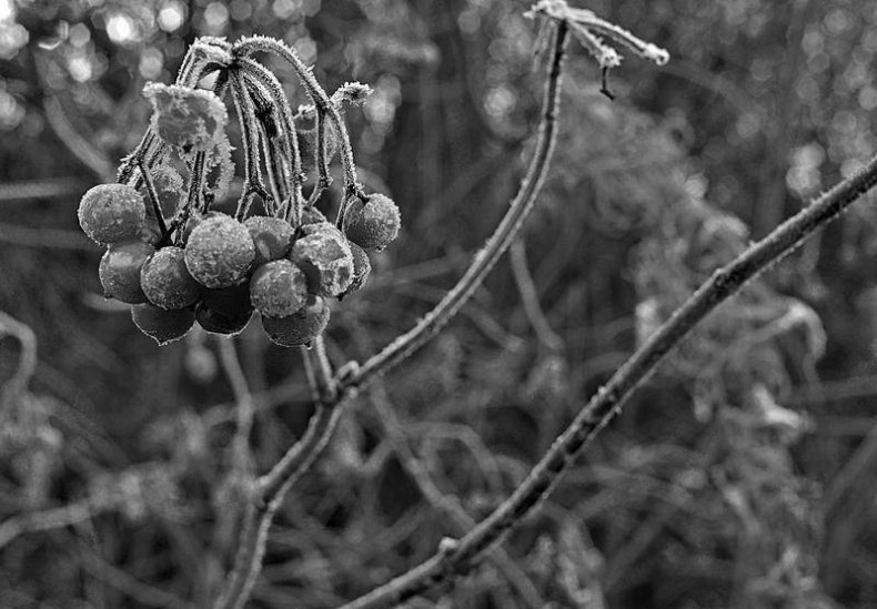 Вокруг света Вокруг света