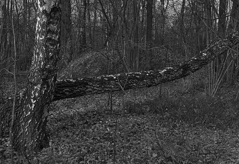 Вокруг света Вокруг света