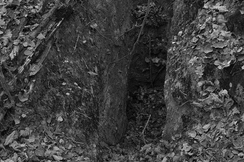 Вокруг света Вокруг света