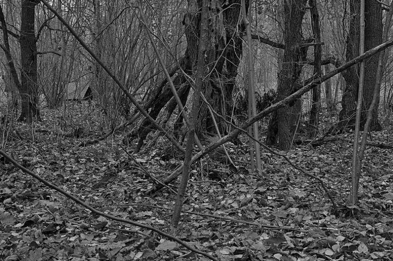 Вокруг света Вокруг света