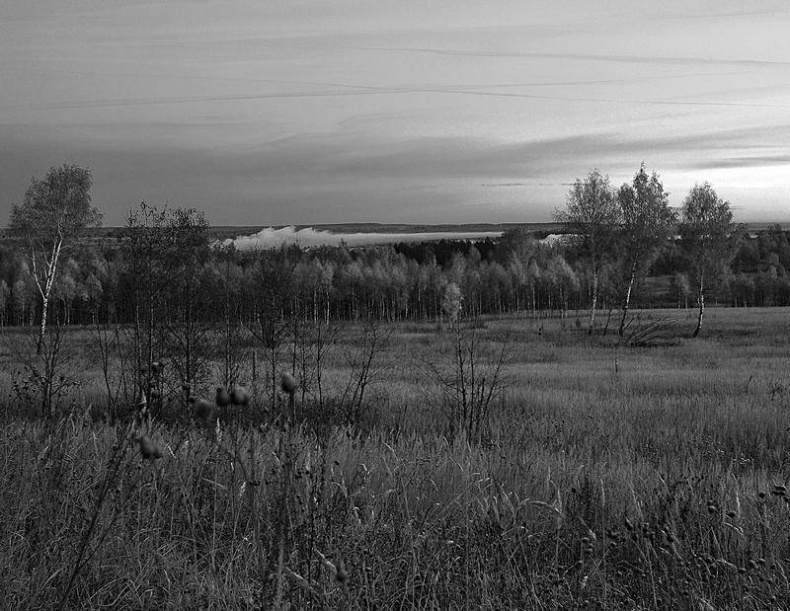 Вокруг света Вокруг света