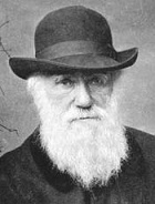 Прирожденный лжец. Я или ты? Прирожденный лжец. Я или ты?