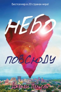 Небо повсюду - Дженди Нельсон