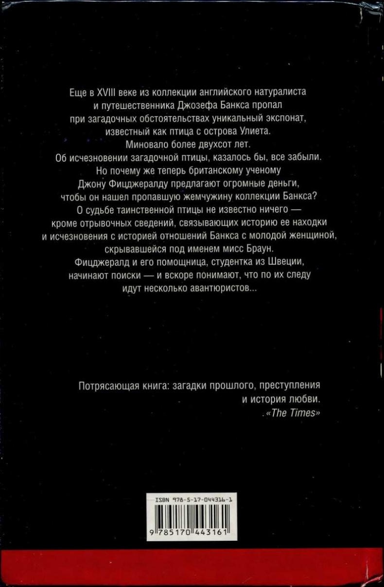 Загадочная птица Загадочная птица