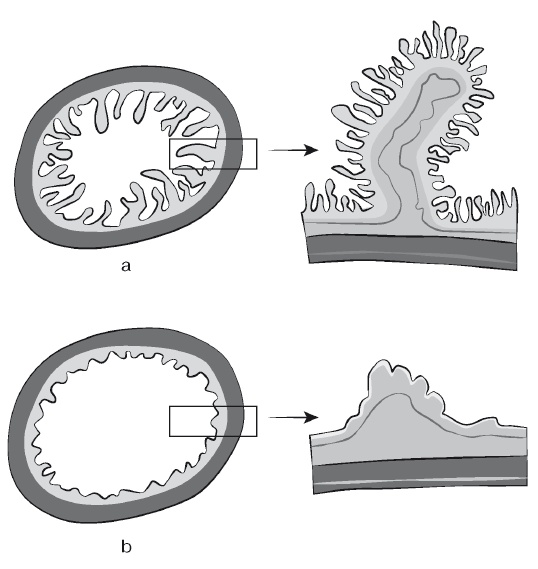 Европейское исследование. Бады, витамины, ГМО, биопродукты Европейское исследование. Бады, витамины, ГМО, биопродукты