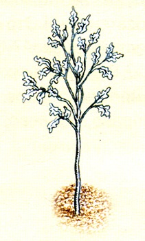 Однажды в Новом Мире Однажды в Новом Мире