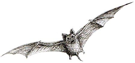 Однажды в Новом Мире Однажды в Новом Мире