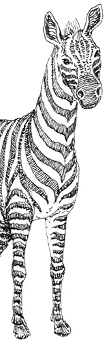 Однажды в Новом Мире Однажды в Новом Мире