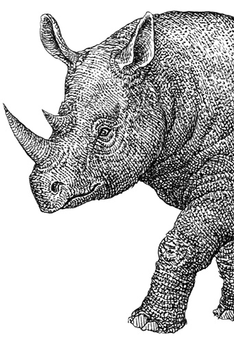 Однажды в Новом Мире Однажды в Новом Мире