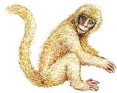 Однажды в Новом Мире Однажды в Новом Мире