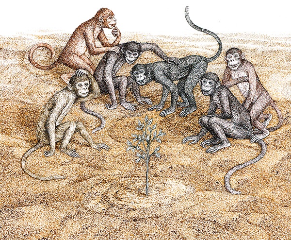 Однажды в Новом Мире Однажды в Новом Мире