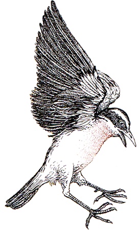 Однажды в Новом Мире Однажды в Новом Мире