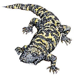 Однажды в Новом Мире Однажды в Новом Мире