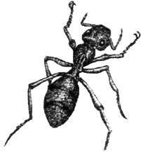 Однажды в Новом Мире Однажды в Новом Мире