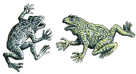 Однажды в Новом Мире Однажды в Новом Мире