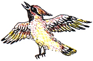 Однажды в Новом Мире Однажды в Новом Мире